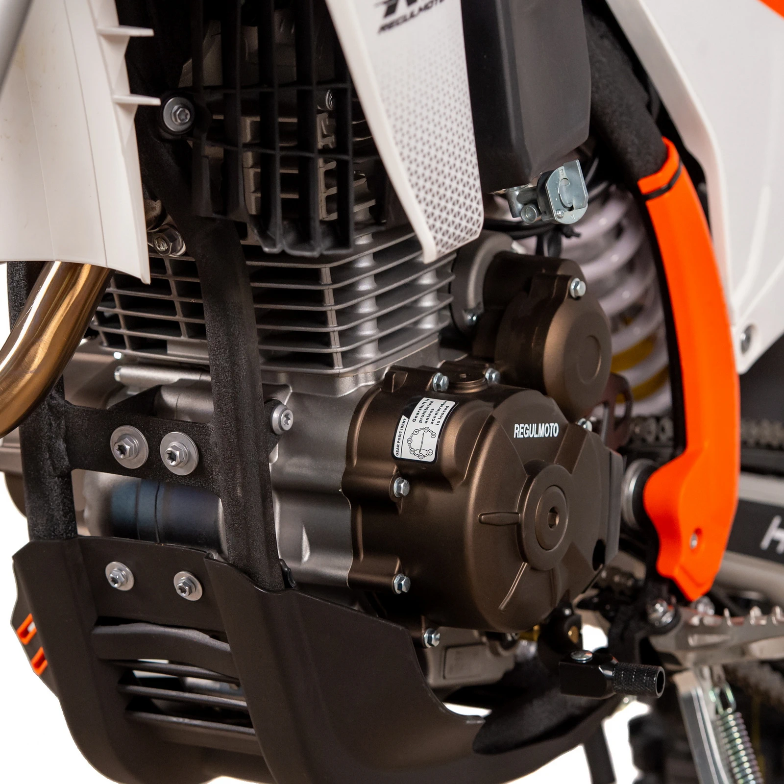 Купить в Бресте - мотоцикл RegulMoto Holeshot 300 PRO с бесплатной доставкой, ПТС, в кредит или рассрочку без переплат в официальном салоне