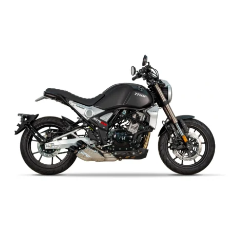 Купить питбайк RegulMoto THOR 400 с бесплатной доставкой без переплат + ПТС и рассрочка