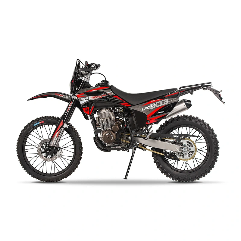 Купить в Бресте - мотоцикл RegulMoto Sport 003 PR 300cc с бесплатной доставкой, ПТС, в кредит или рассрочку без переплат в официальном салоне