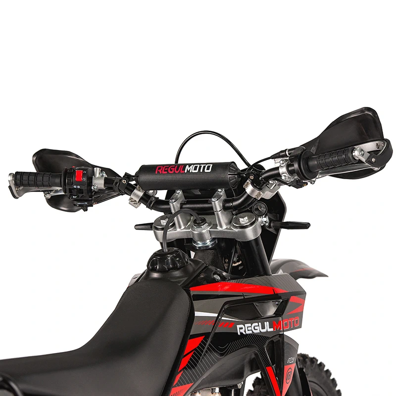 Купить в Бресте - мотоцикл RegulMoto Sport 003 PR 300cc с бесплатной доставкой, ПТС, в кредит или рассрочку без переплат в официальном салоне